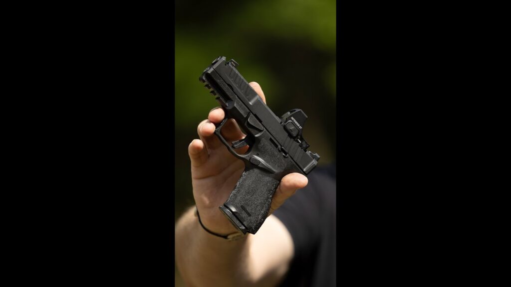 Which would you rather have for concealed carry? (Echelon 4 Comp vs Bodyguard 2)