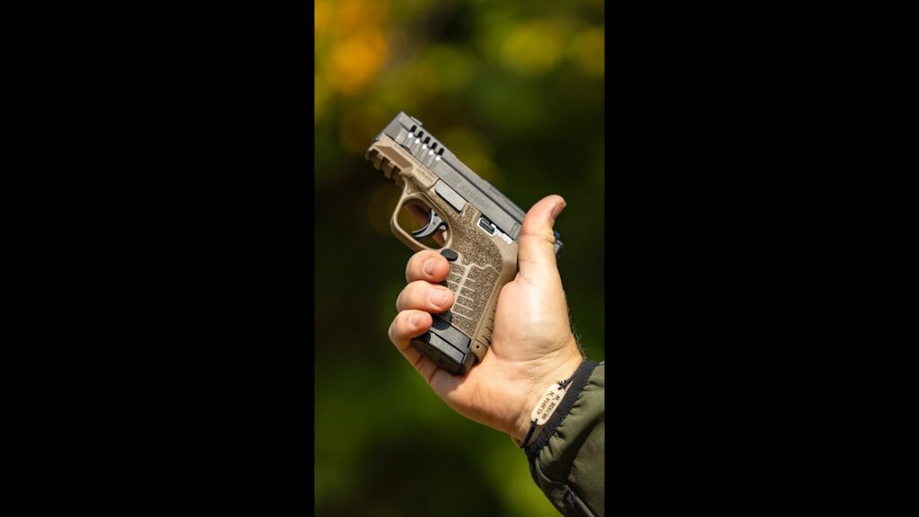 Affordable 9MM For Concealed Carry? (Savage Stance XR)