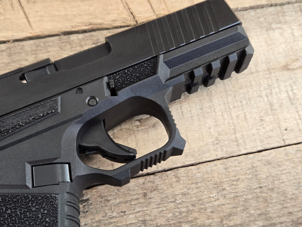 SCT19 Glock frame review