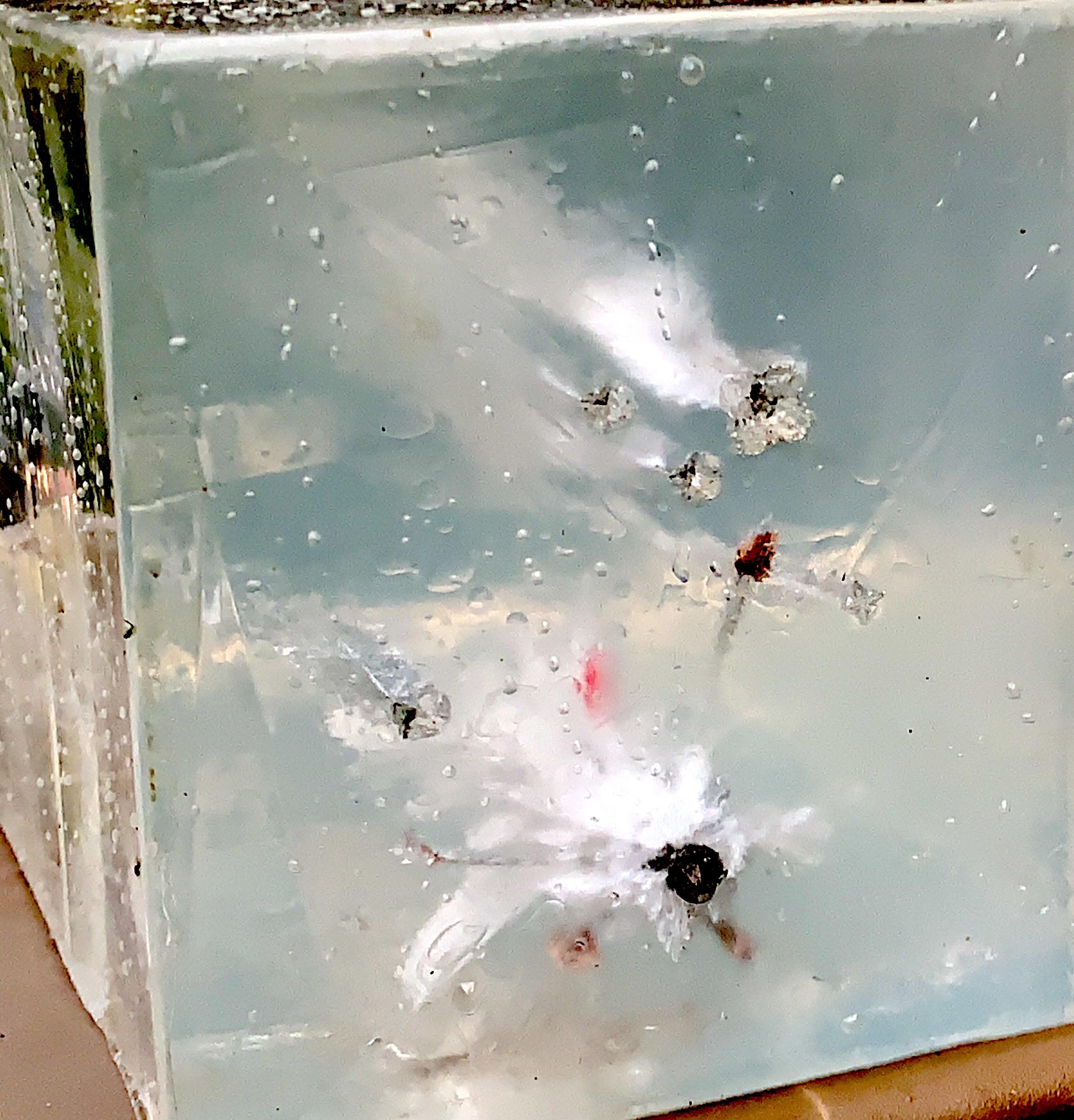 Clear-Ballistics-Gel-4