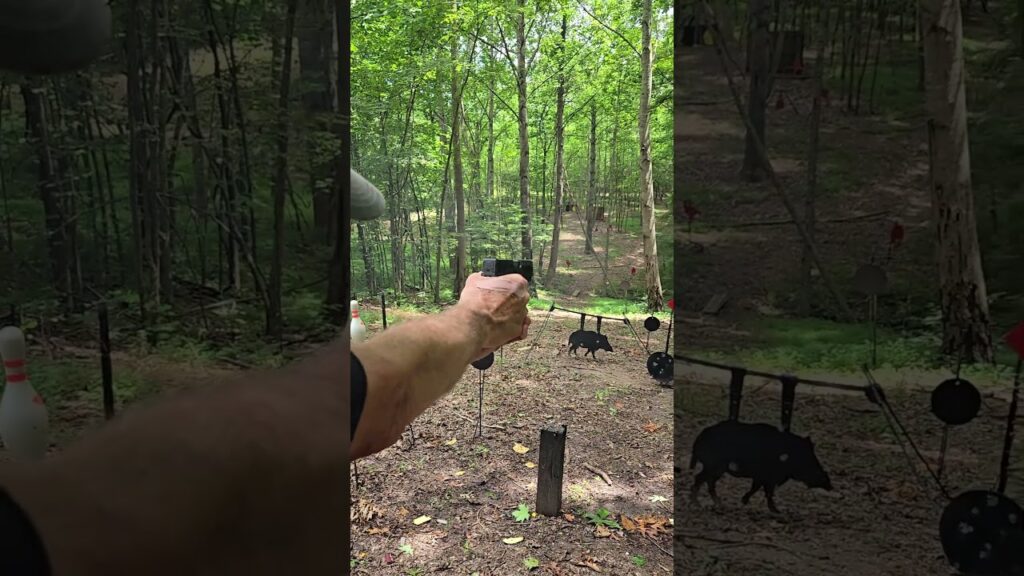 Taurus GX2 Vs Shooting Tree