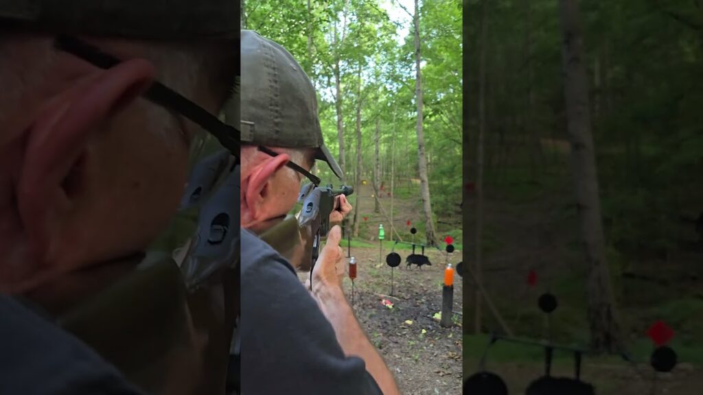 Henry Lever Action Vs Gong