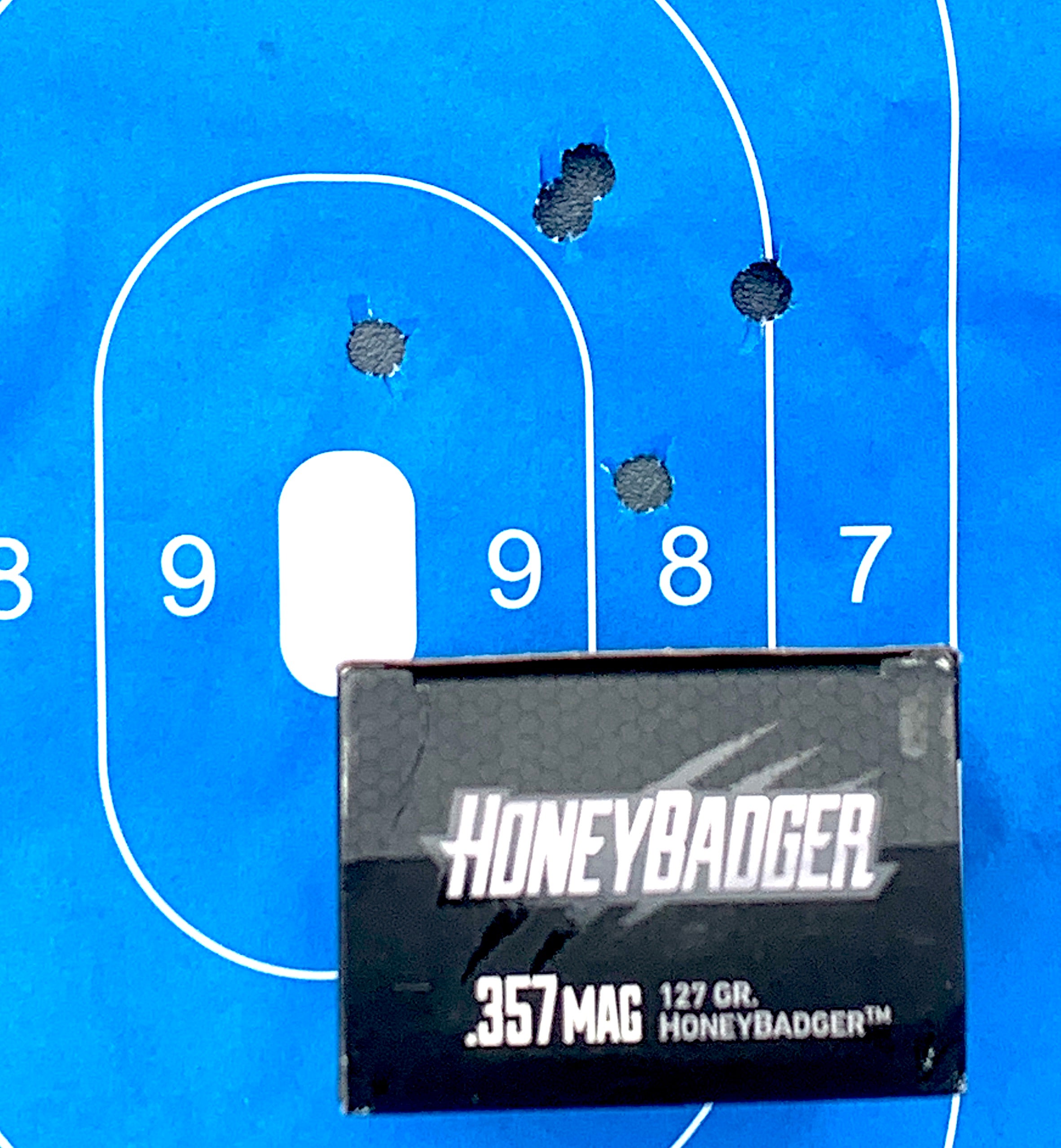 Ruger-GP100-target-2