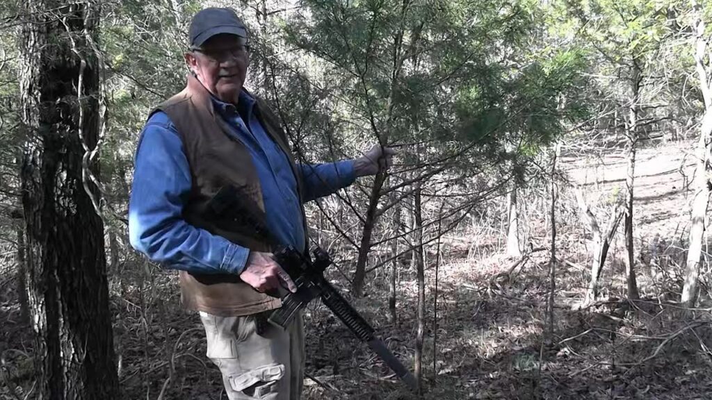 Christmas Tree Hunt 2025