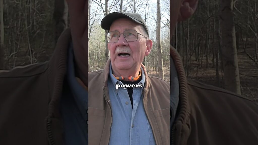 Has The World Gone Crazy?