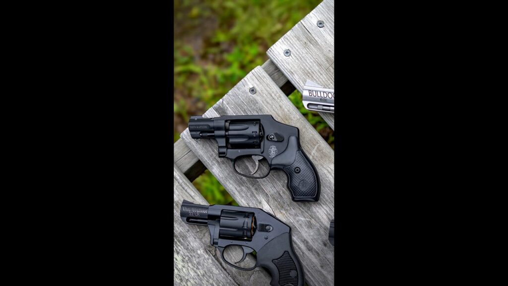 Would you carry a .22?