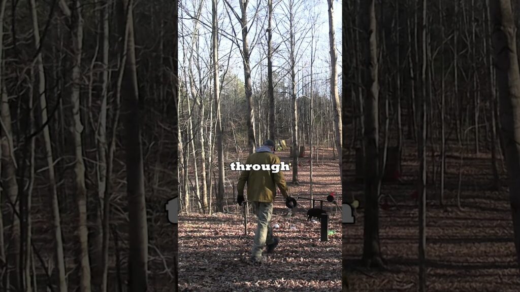 How Powerful Is .454 Casull?