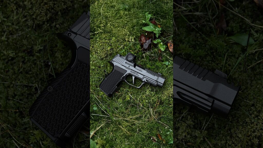 Flattest shooting .380 (SIG P365 LUXE)