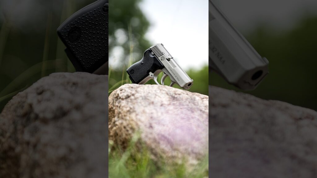 North American Arms Guardian .32